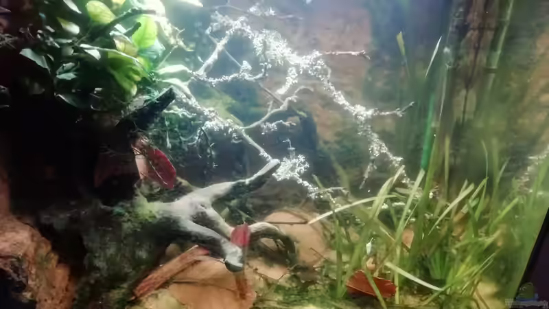 Frontansicht 03.01.2023 von - Stephen - (12)