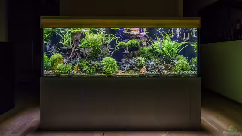 Frontansicht 03-2023 von JARB (1)