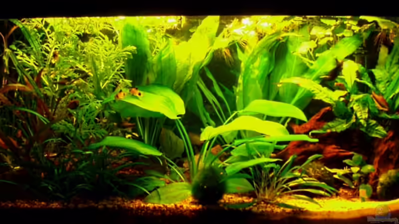 Frontansicht 06.03.10 von ~Marco~ (1)