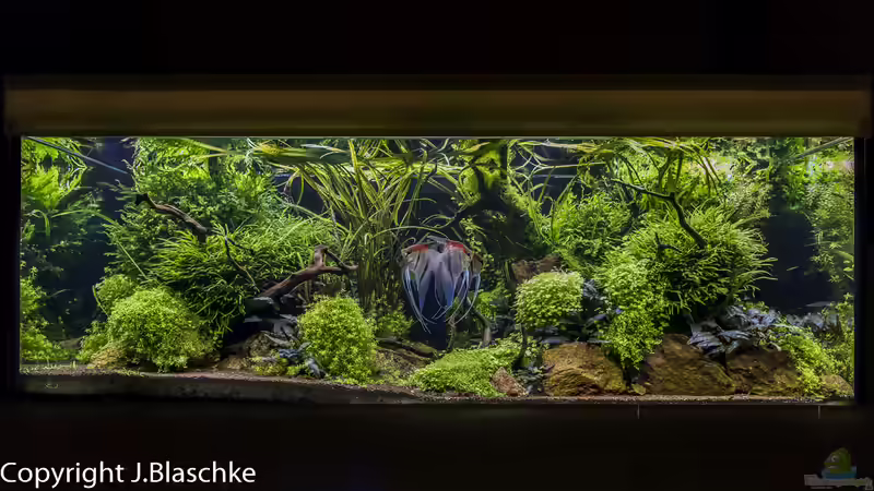 Frontansicht 06-2019 von JARB (17)