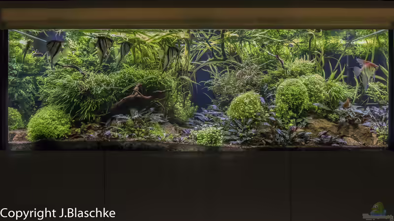 Frontansicht 06-2020 von JARB (19)