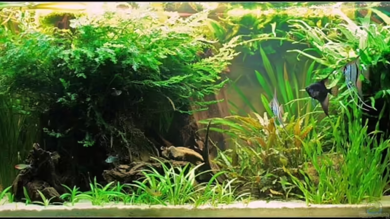 Frontansicht 12.03.09 Frontansicht 12.03.09