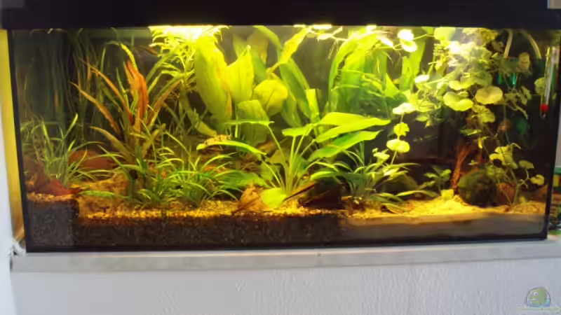 Frontansicht 17.05.09 von ~Marco~ (3)