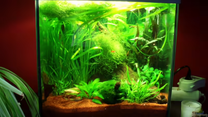 Frontansicht 20.02.10 von ~Marco~ (8)