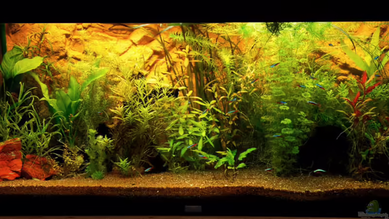 Frontansicht 20.10.2013 von solo (12)