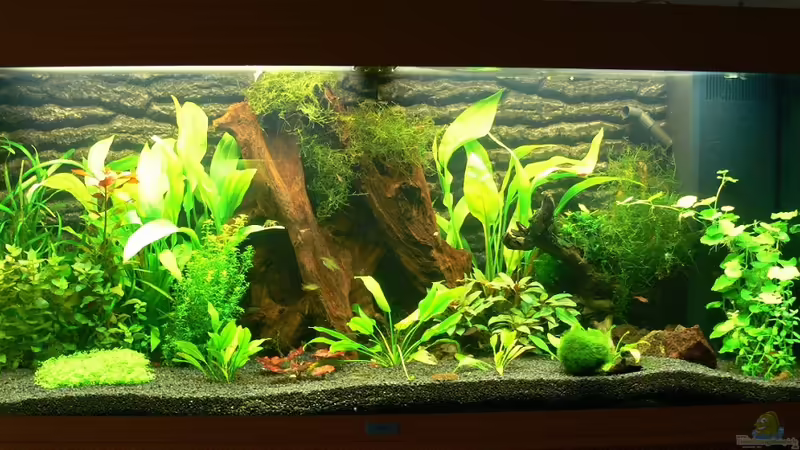 Frontansicht 2007 von derflo (2)