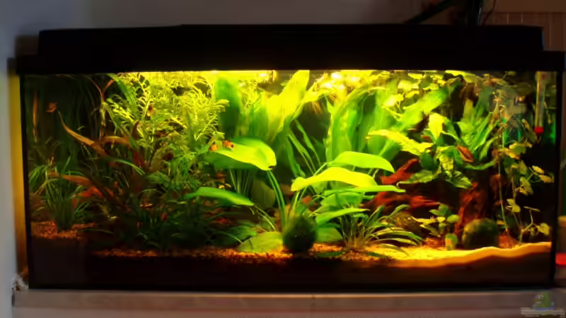 Frontansicht 21.06.09 von ~Marco~ (4)