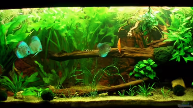 Frontansicht 22.05.11 von ~Marco~ (13)