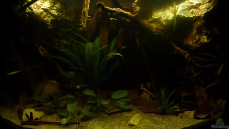 Frontansicht 22.10.12 von ~Marco~ (10)