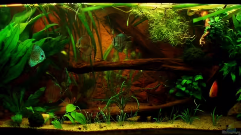 frontansicht 24.04.11 2x24 Watt Beleuchtung von ~Marco~ (17)