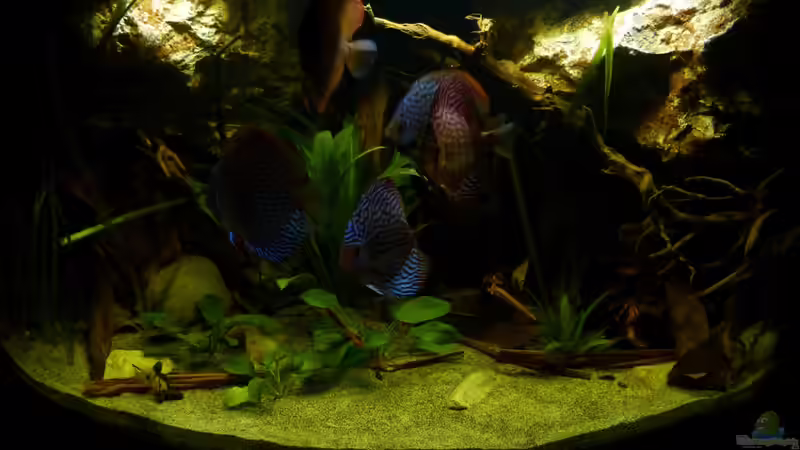 Frontansicht 24.10.12 von ~Marco~ (9)