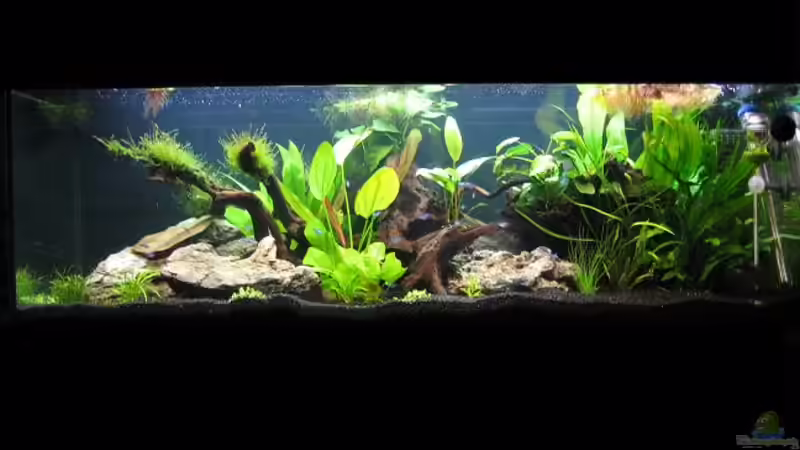 Frontansicht 27.6.2010 von Marco B. (2)