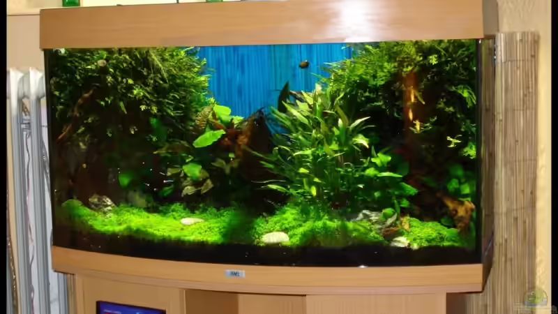 Frontansicht 27.August 2007 von David Weidenbacher (5)