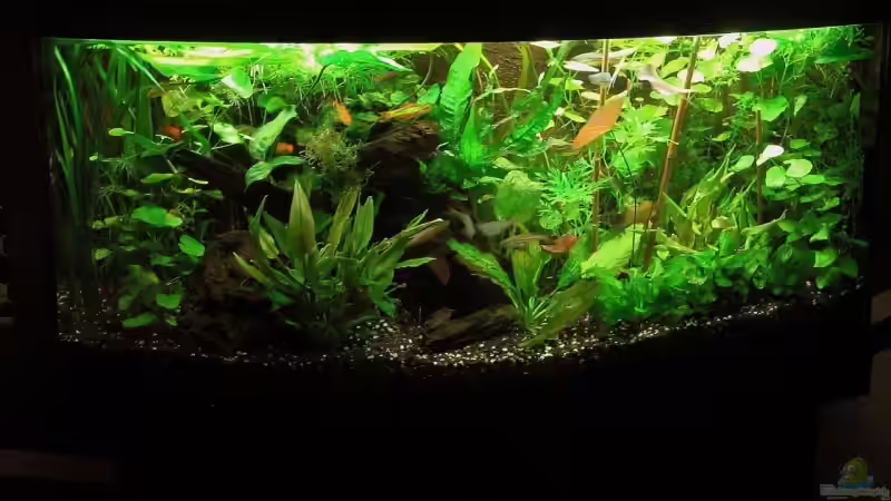 Frontansicht 28.10.09 von Danne86 (4)