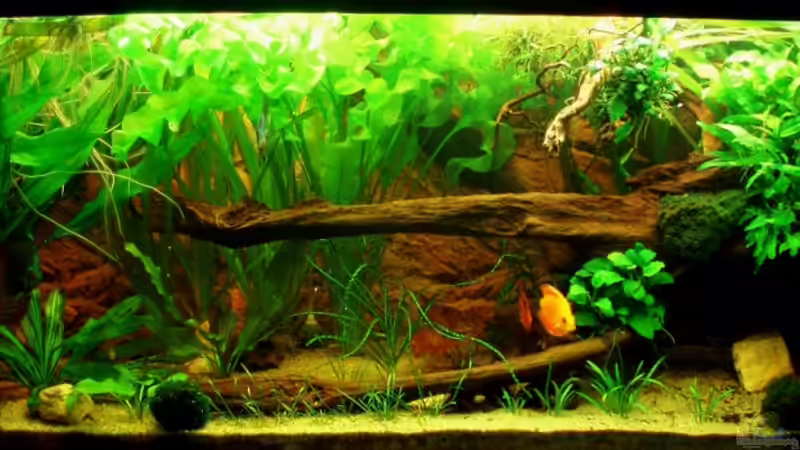 Frontansicht 29.05.11 von ~Marco~ (11)