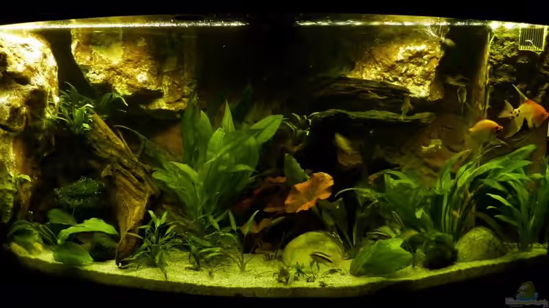 Frontansicht 30.12.12 nur mit LED von nokoeh (11)