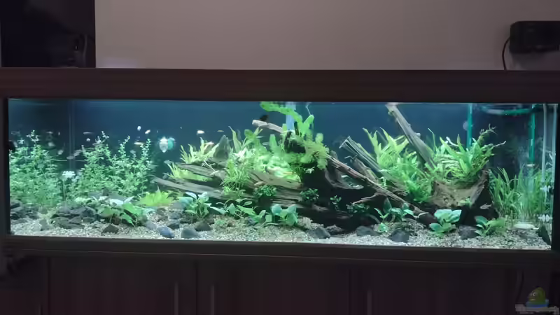 Frontansicht am 08.11.2021 von C-NA (8)