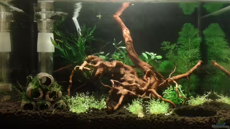 Frontansicht am 11.02.16 von Kai M (2)