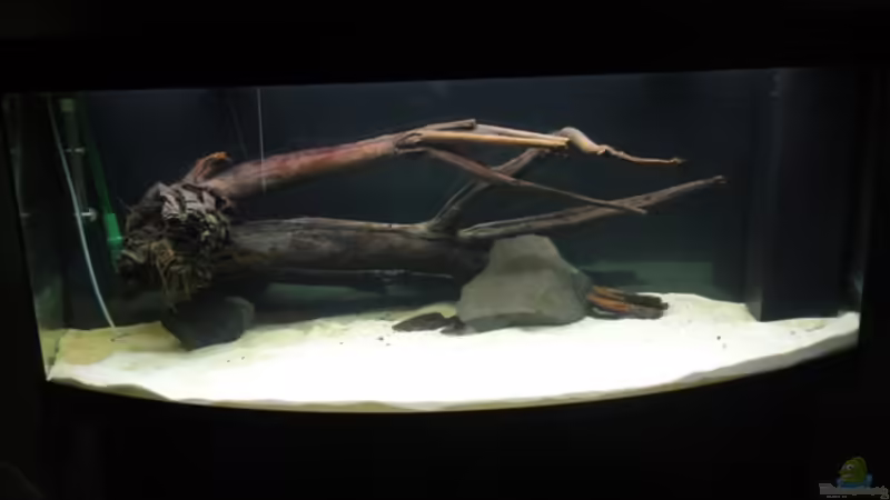 Frontansicht am 25.04 von Christoph904 (5)