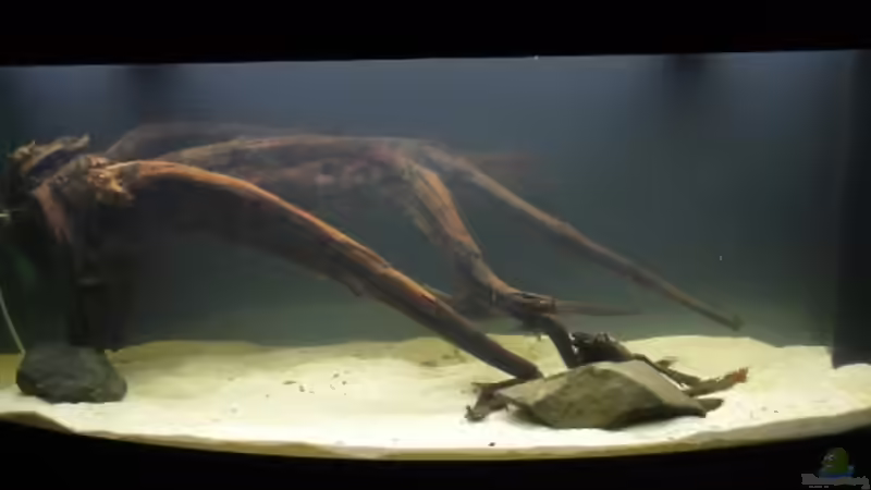 Frontansicht am 27.04 von Christoph904 (6)