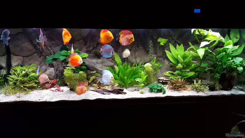 Frontansicht April 2016