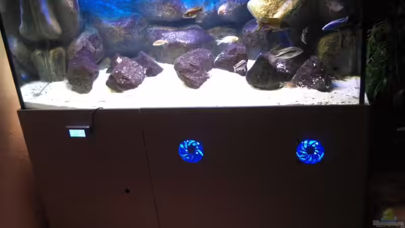 Frontansicht (Blick in den Malawisee ;-)) von Matoba (1)