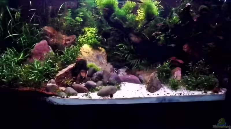 Frontansicht-der Anfang von snooze (21)