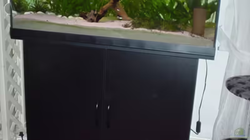 Frontansicht des AQs. Katzengerecht mit Katzenstuhl ;-) von Marko Lütgens (7)