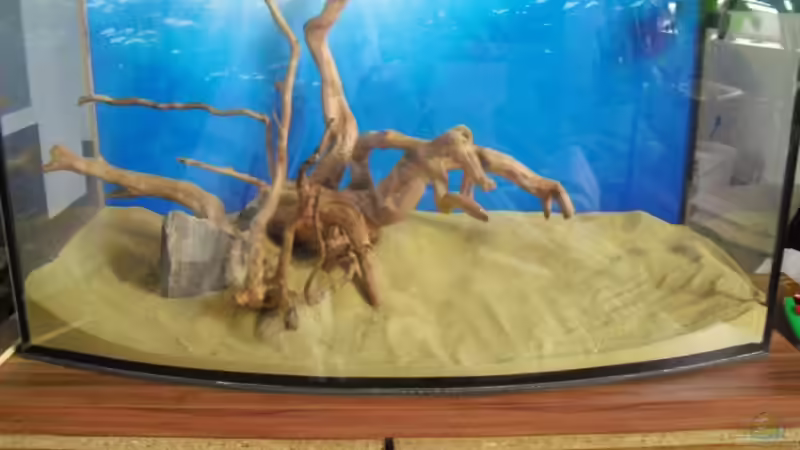 Frontansicht inkl. Rückwandfolie und Kies von MiCa (20)