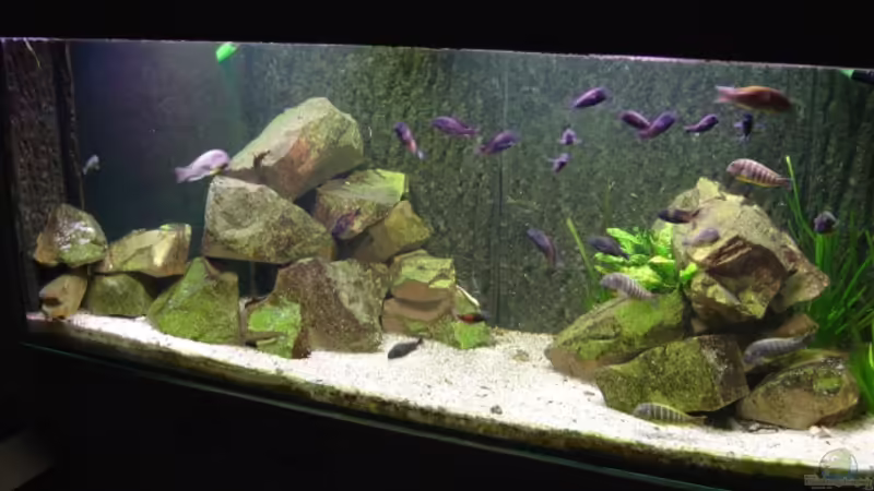 Frontansicht mit Blick auf HMF über Eck von Tom (1)