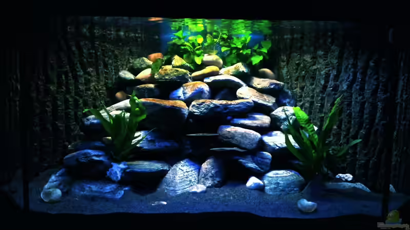 Frontansicht mit neuer Beleuchtung von Daniel Kastner (2)