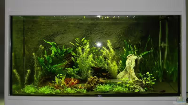 Frontansicht mit Rahmen von Alfur (2)