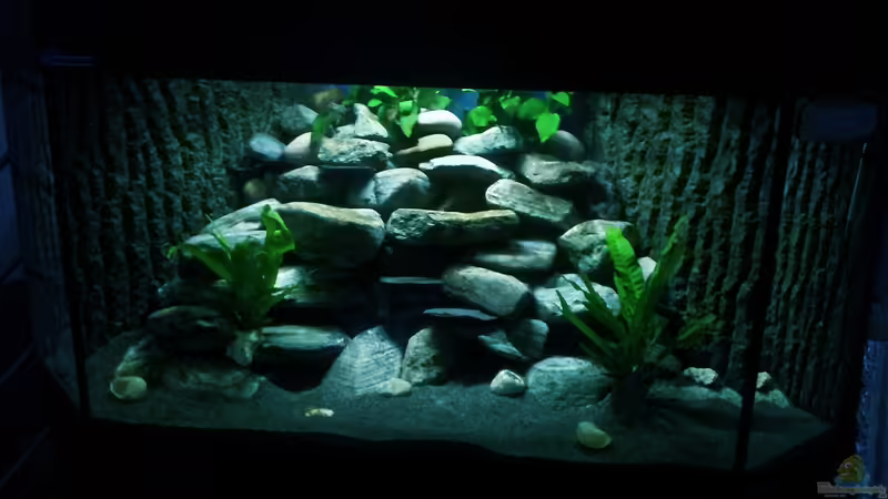 Frontansicht mit reduzierter Beleuchtung von Daniel Kastner (1)