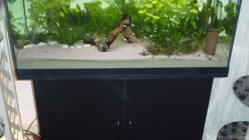 Frontansicht mit Unterschrank von Marko Lütgens (6)