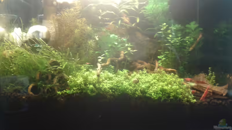 Frontansicht Mitte 05.2016 von Kai M (9)