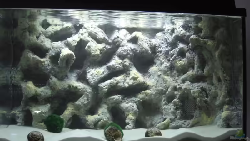 Frontansicht nach dem 2. Tag Wässern von Oliver Knönagel (2)