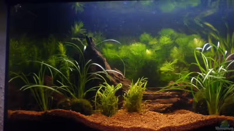 Frontansicht nach Neueinrichtung von Sebastian Lahrius (5)