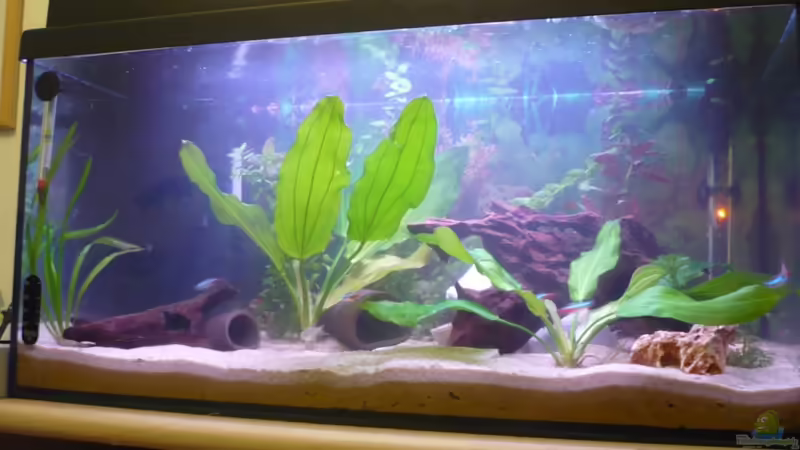 Frontansicht Neu vom 13.11.10 