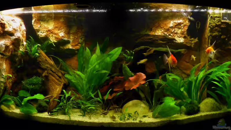 Frontansicht nur mit LED-Beleuchtung 30.12.12 von nokoeh (10)