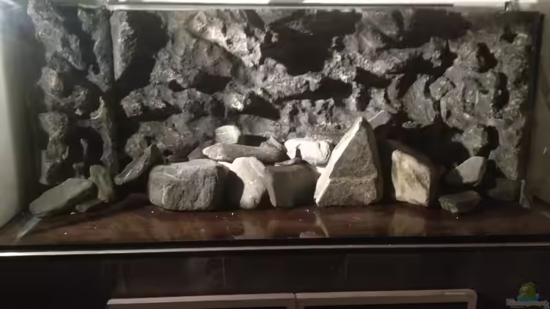 Frontansicht Rückwand erste ´Anprobe´ von Jean-Paul Ambord (15)