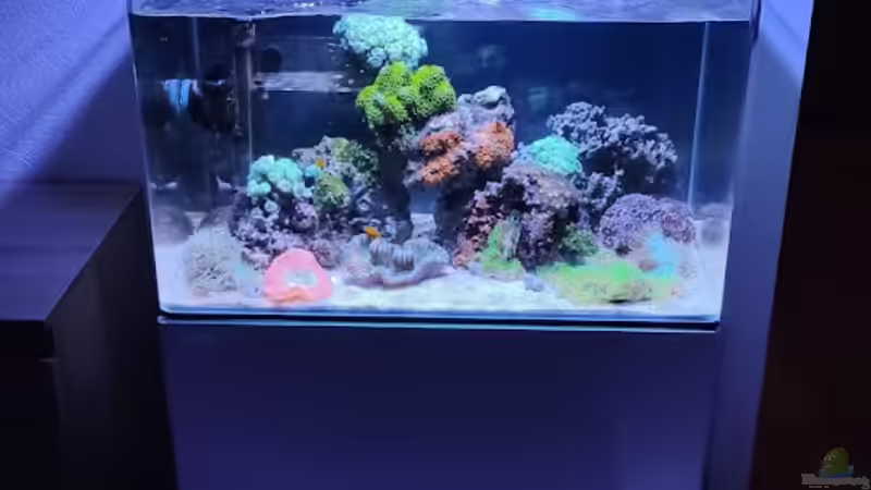 Frontansicht Tageslicht von basti_hp (3)