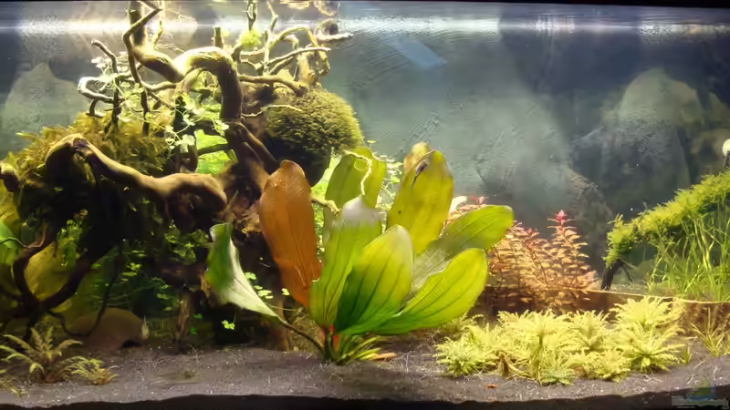 Frontansicht vom 24.11.2013 von Christian Heitmann (1)