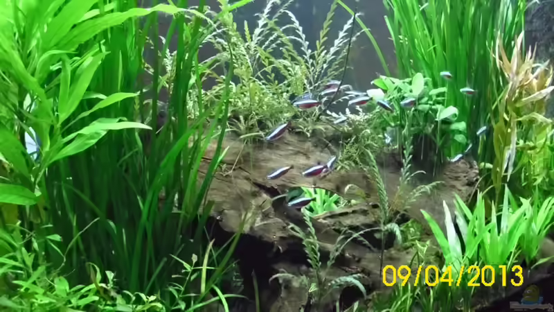 Frontansicht vom der Essecke von Günther Kröger (3)