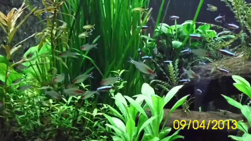 Frontansicht vom Wohnzimmer von Günther Kröger (2)