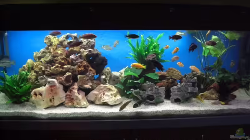 Frontansicht von Alexander Wrede (2)