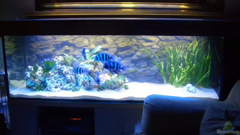 Frontansicht von Alfred Hahn (1)