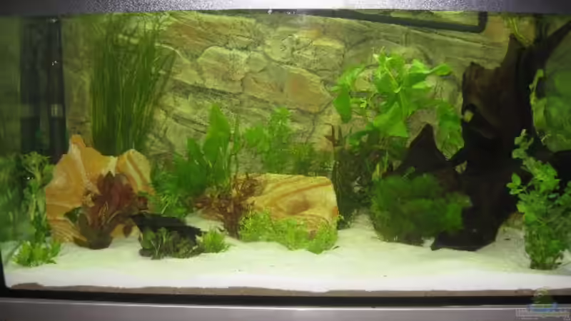 Frontansicht von Christian Dobler (1)