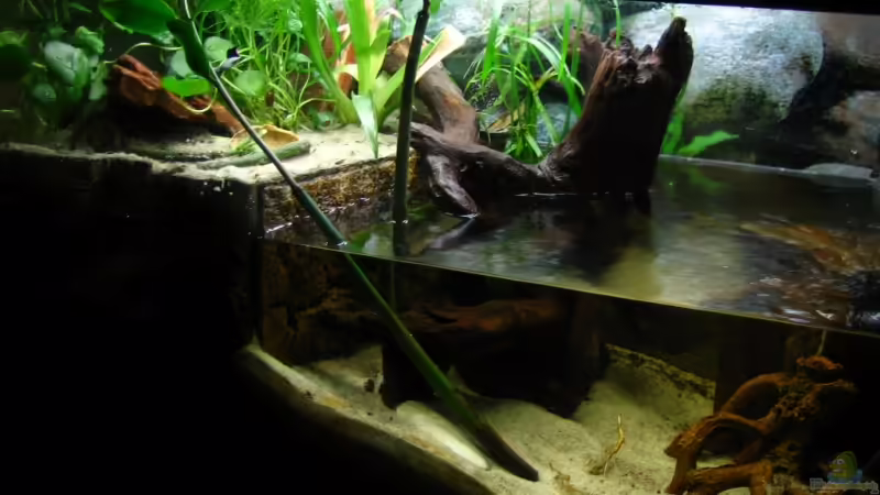 Frontansicht von Christian Friedrich (1)