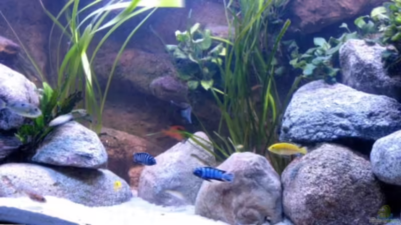 Frontansicht von Christian Hold (1)