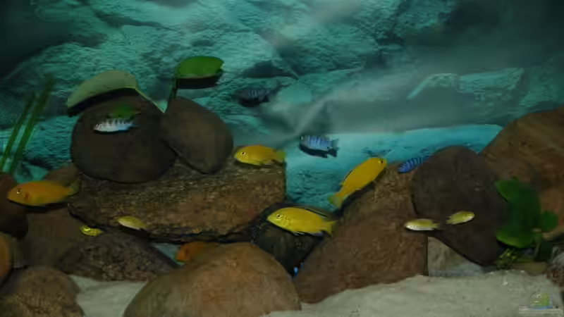 Frontansicht von Christopher Lührs (8)